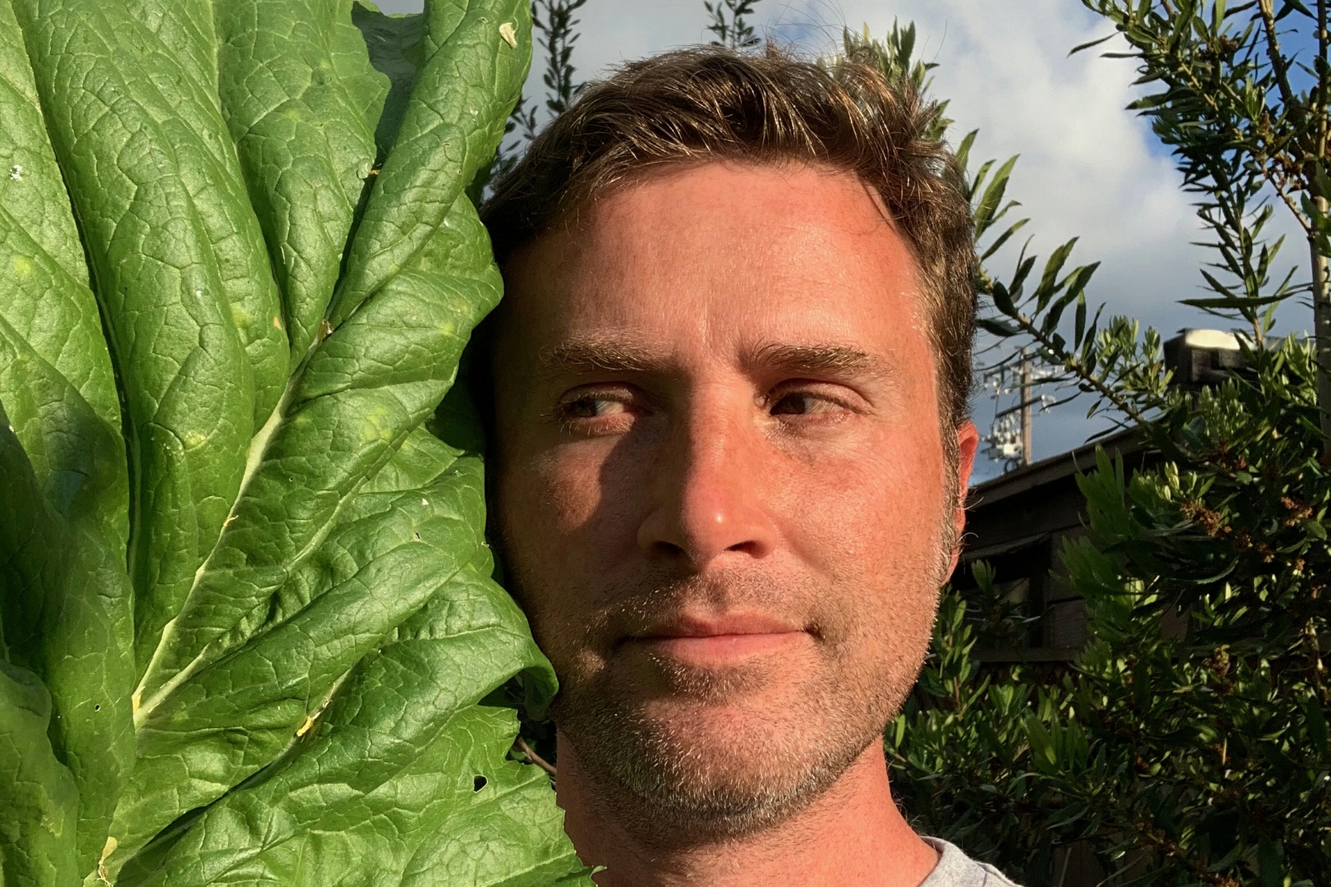 man's face next to a leaf