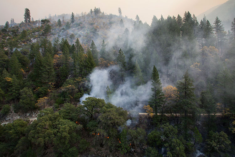 A photo of a forested hillside with smoke emerging from the trees, and a hazy, smoke-filled sky.