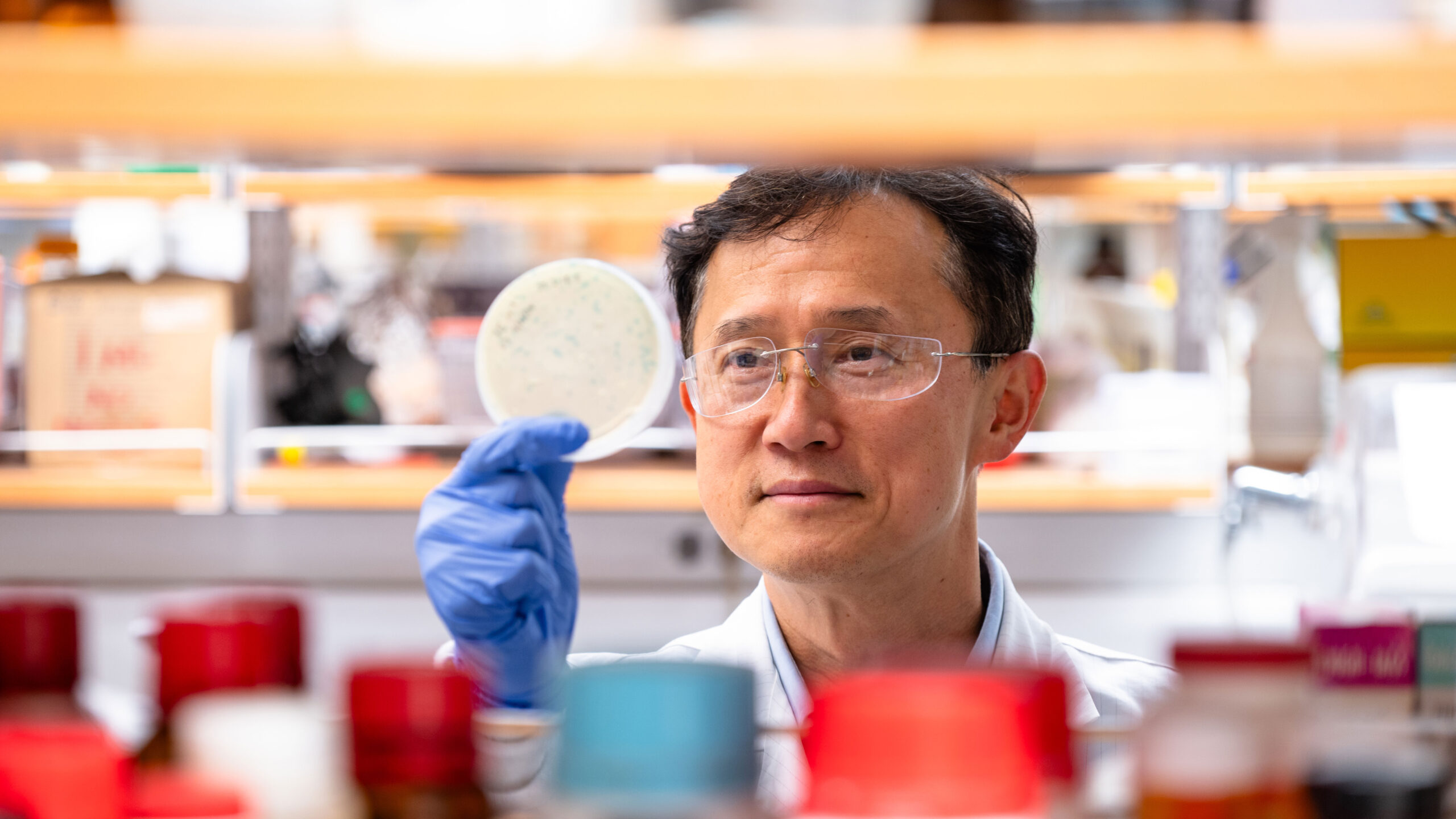 Seung-Wuk Lee, professor of bioengineering, in his lab.