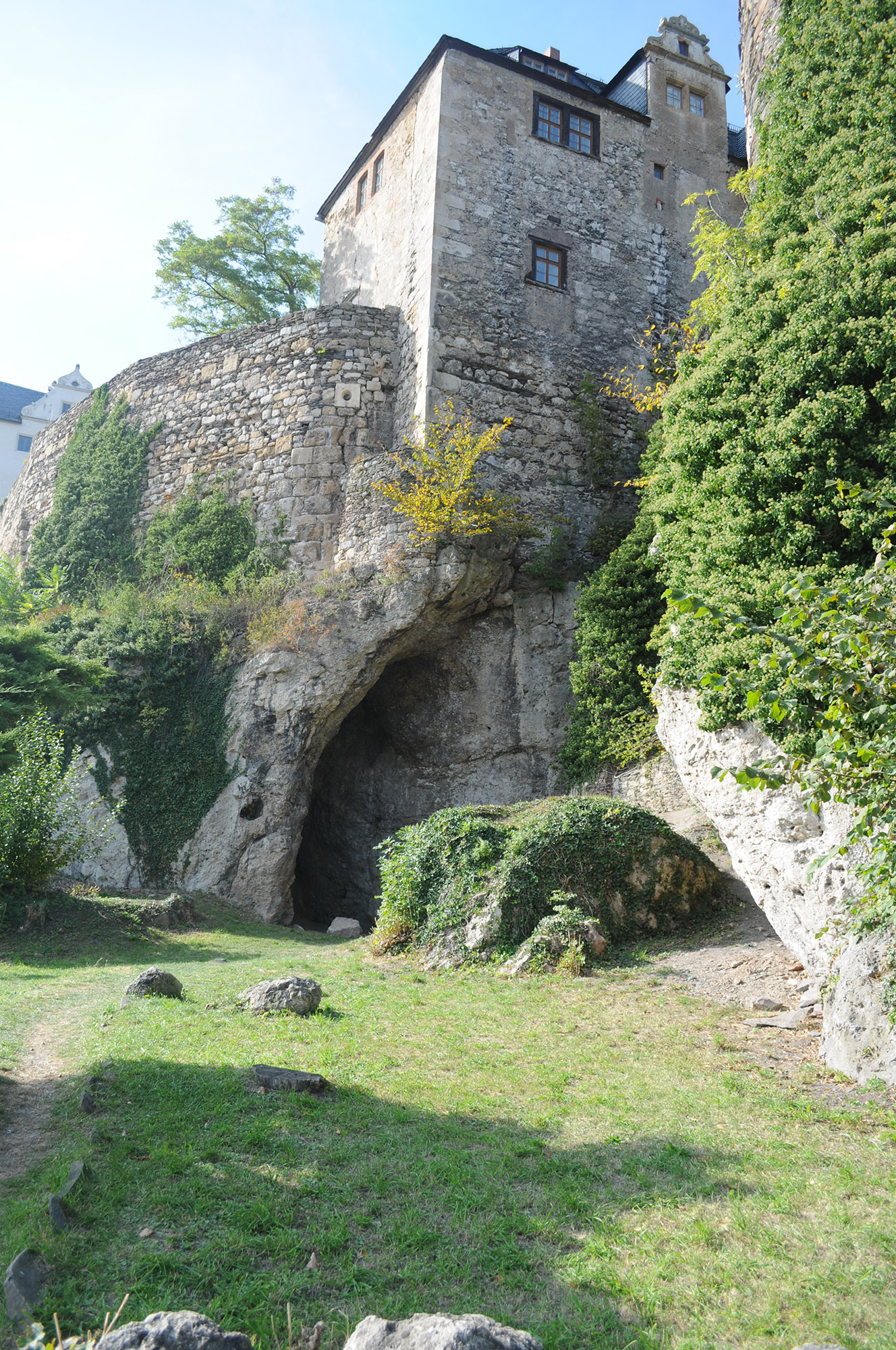 gray castle walls towering over a cave with grass and greenery in the foregroung