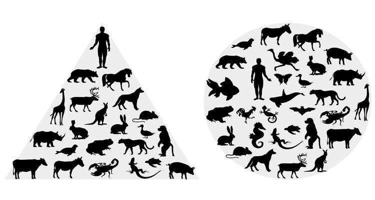 a pyramid of animals with humans on top next to a circle enclosing silhouettes of animals equally with a human