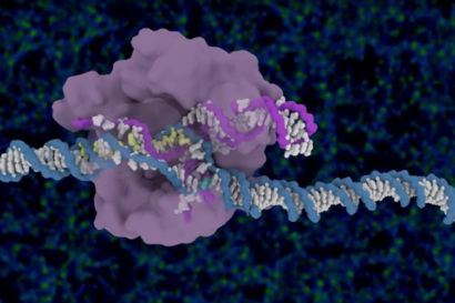 Cas9 protein 