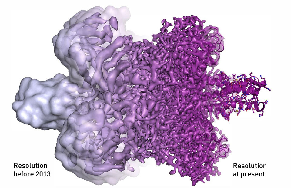 Cryo-EM Resolution Changes from 2013 to Present