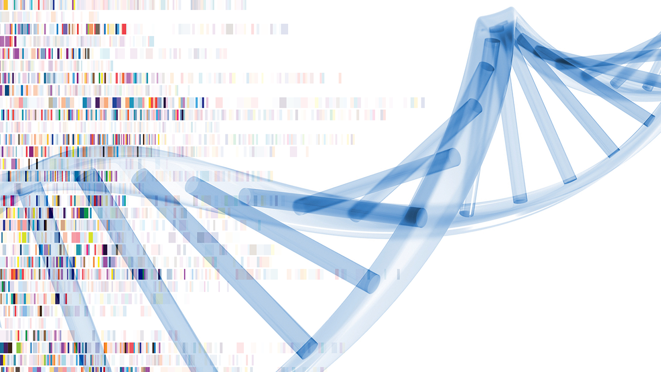 rendering of a blue dna helix with color blocks behind it