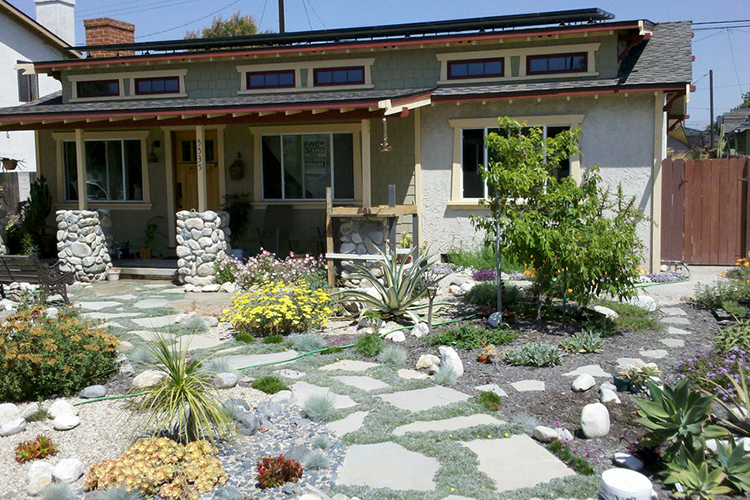 drought landscaping