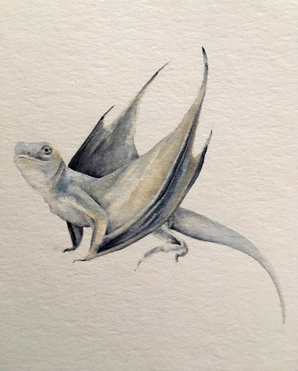 painting of earless lizard with dragon wings