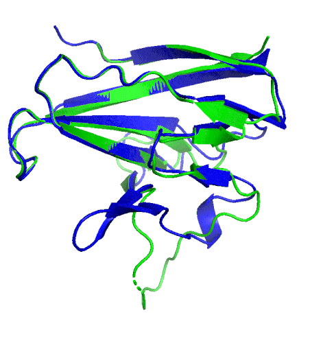 A ribbon diagram rendering of the ORF8 structure