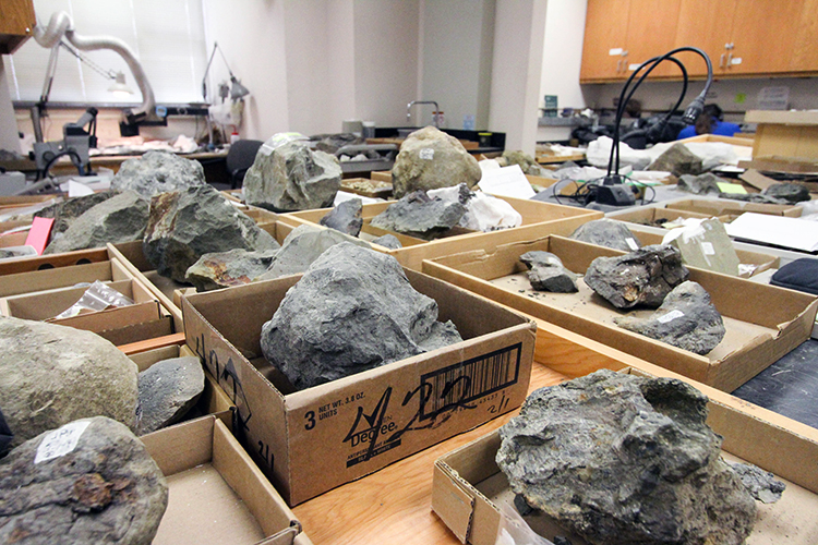 Many fossils in boxes on a desk