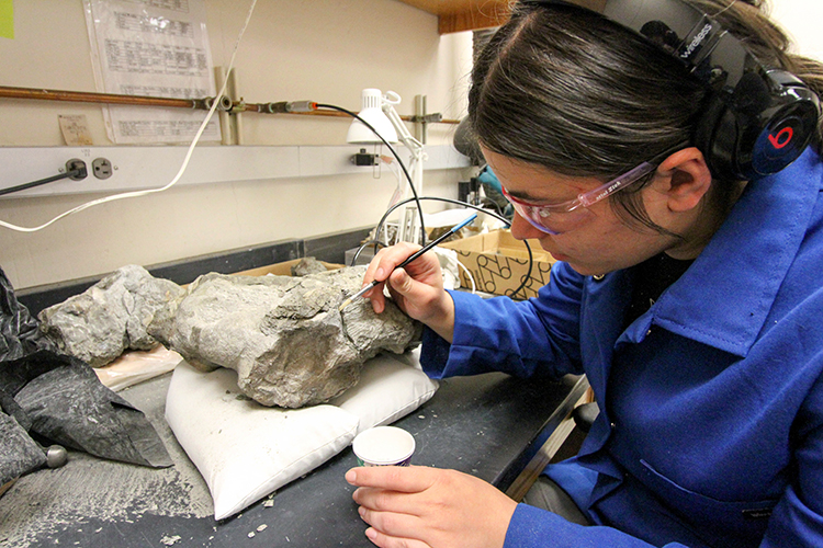 Mackenzie Kirchner-Smith spreading adhesive over fossil on desk