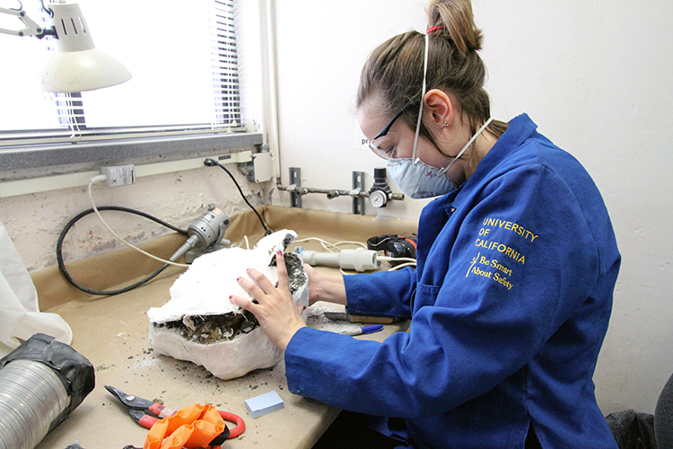 Julia Anderson taking apart plaster cast of fossil