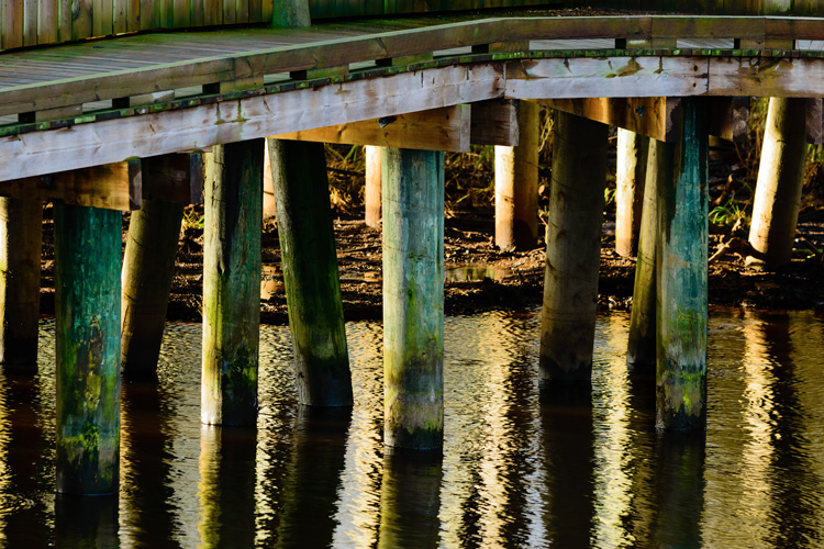 green pilings of wooden bridge over water