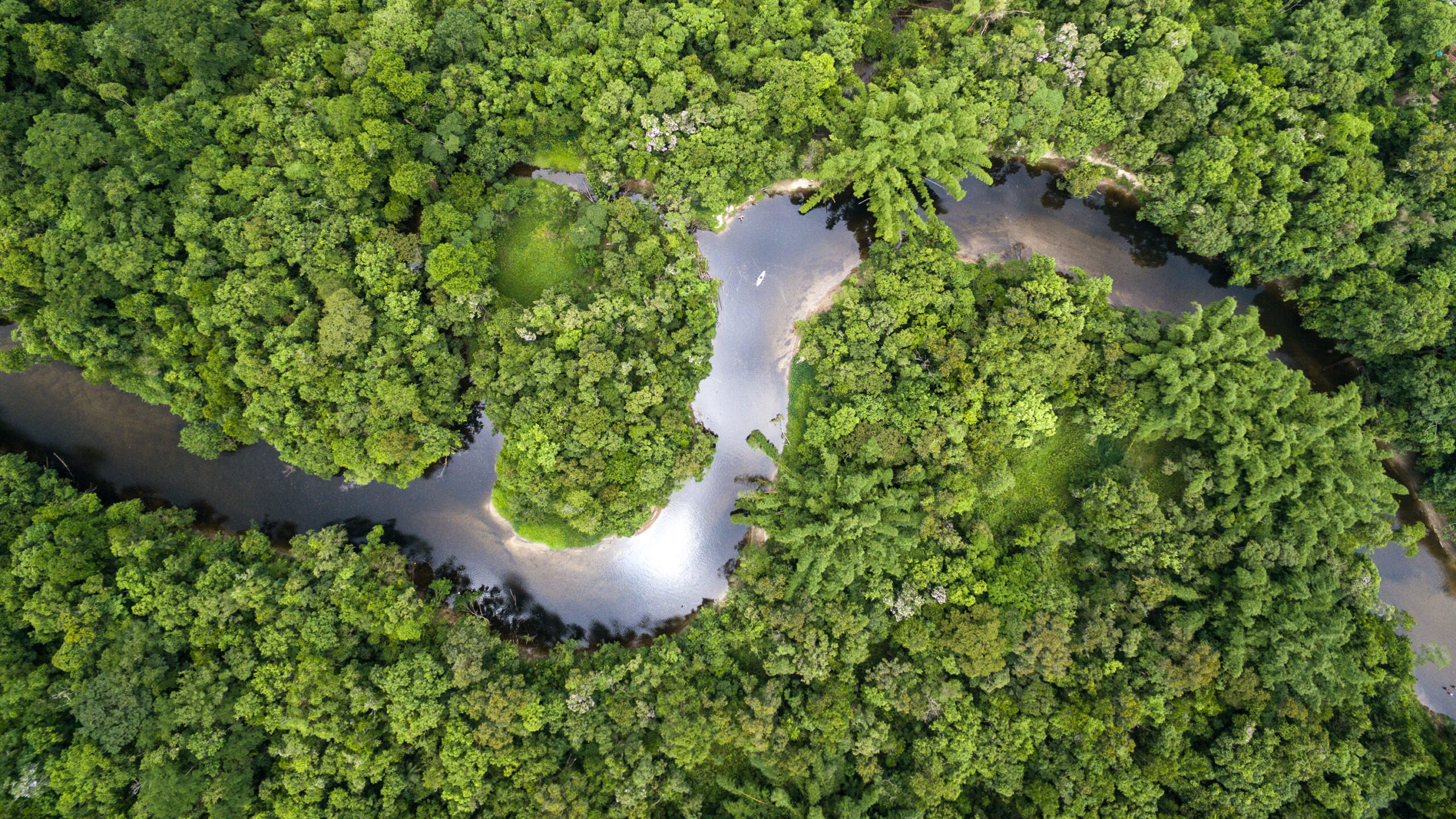 Aerial view of a rainforest in Brazil.