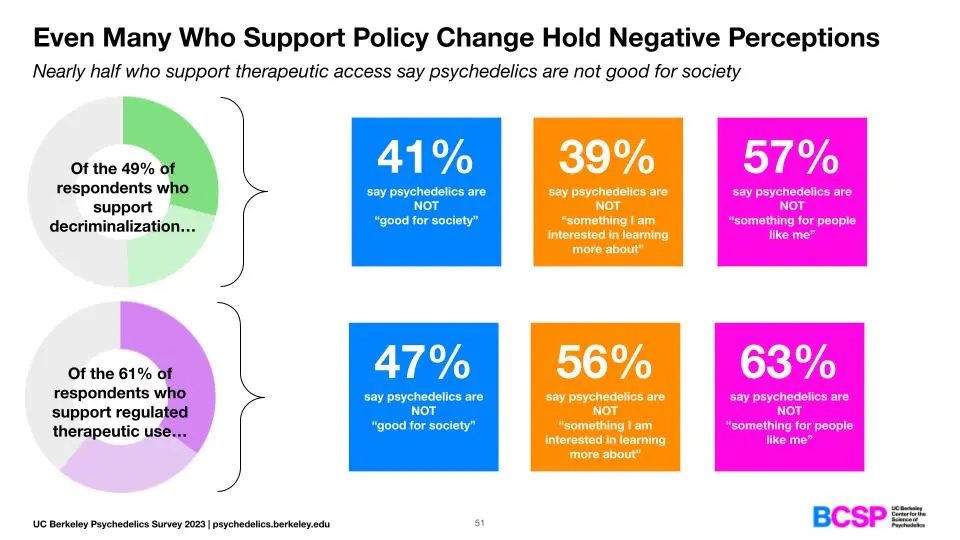 graphics about those who support psychedelics policy change but also hold negative perceptions.  Details provided below.