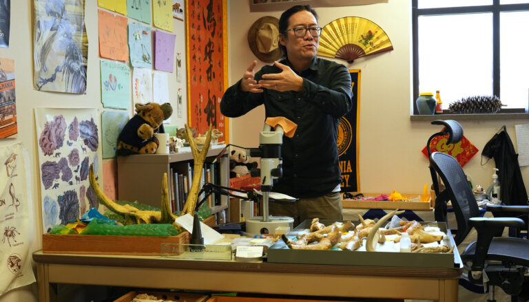 Jack Tseng gestures in his office, surrounded by bones and antlers and kids' drawings on the wall. It's cozy and busy.