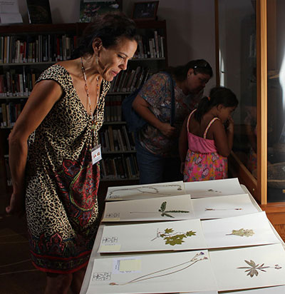 Lisa Hillman looking at plant specimens 