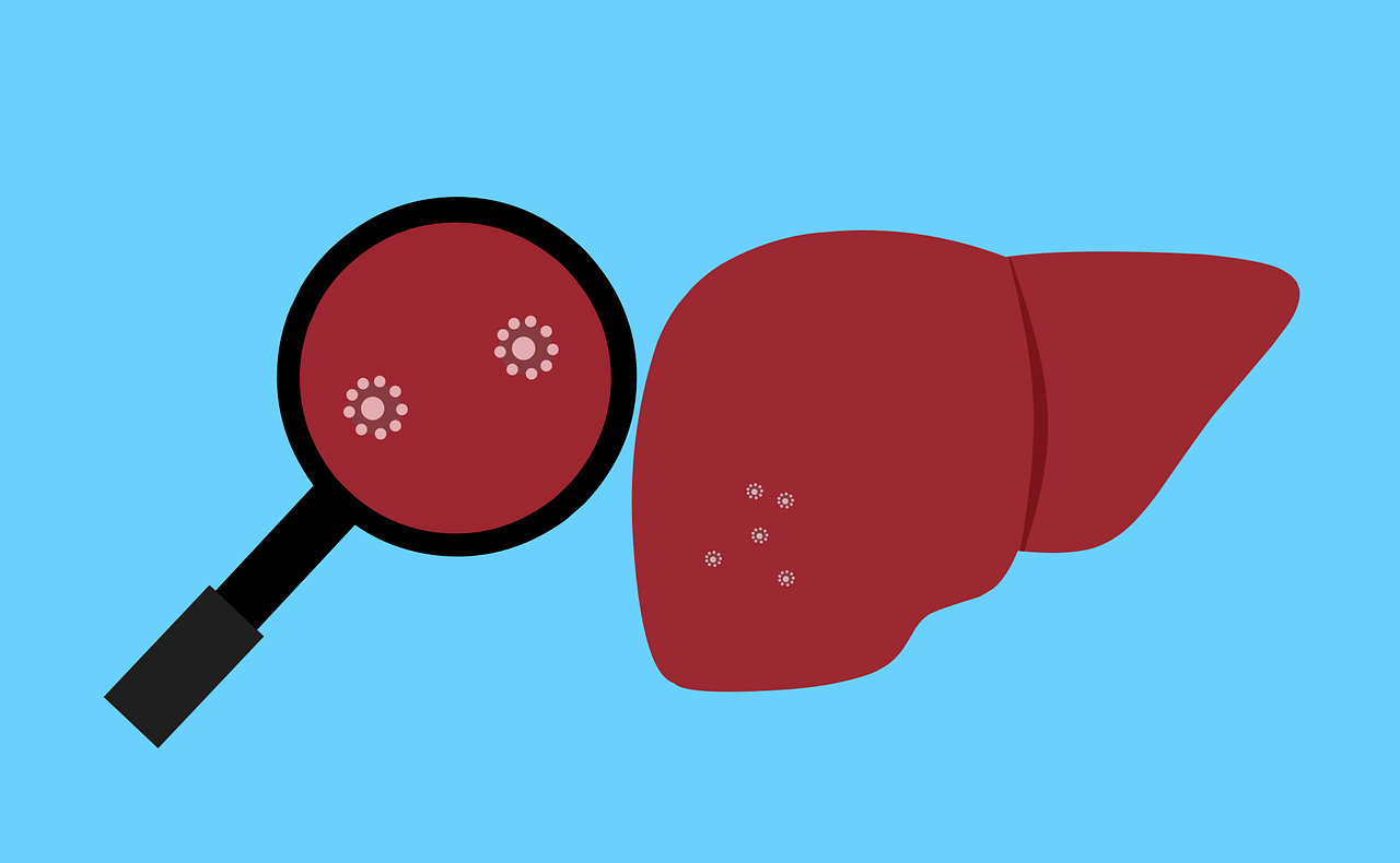 graphic of liver and magnifying glass