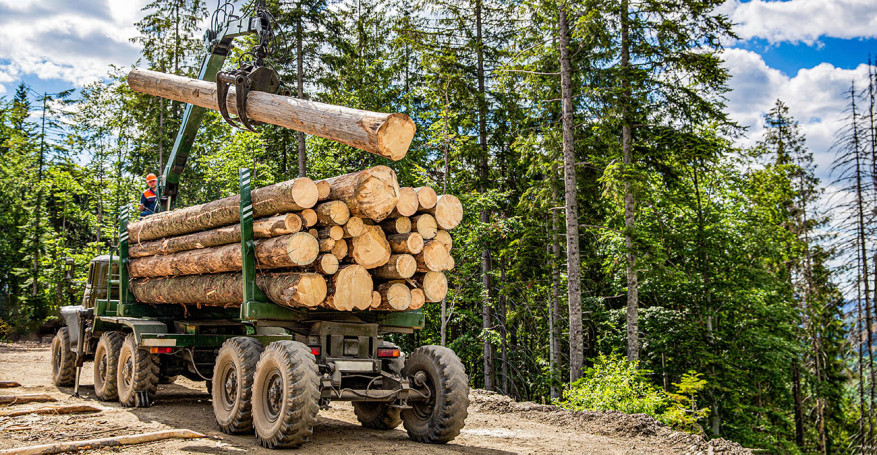 Logging truck on mountain road