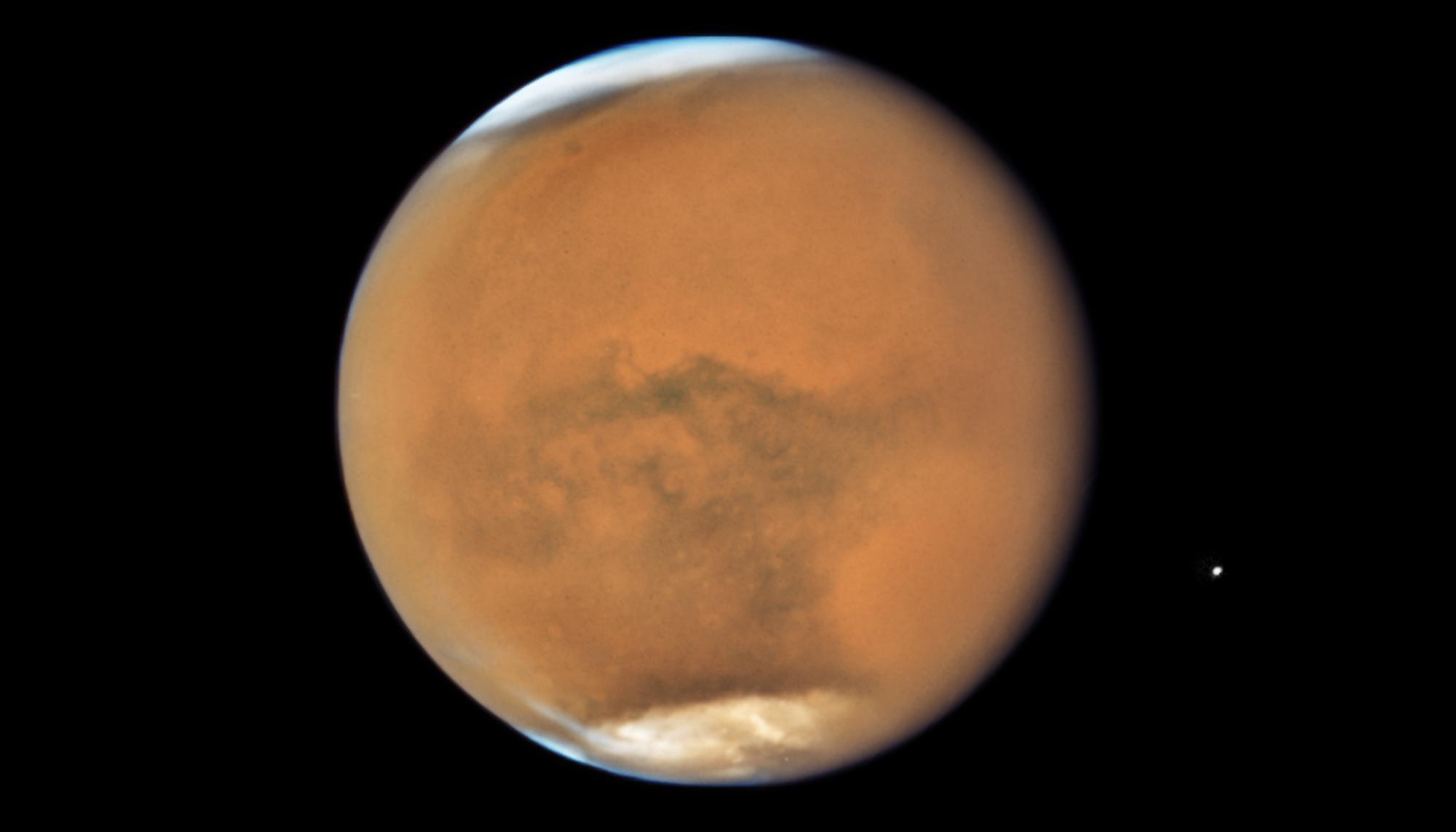 the brick-red planet Mars with white caps at poles