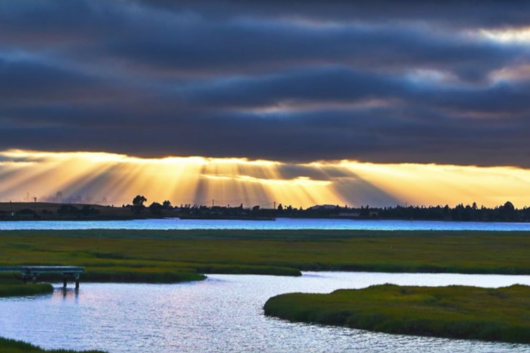 Bay area wetlands at sunset.