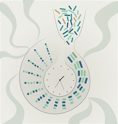 diagram showing blocks of genes narrowed by bottleneck