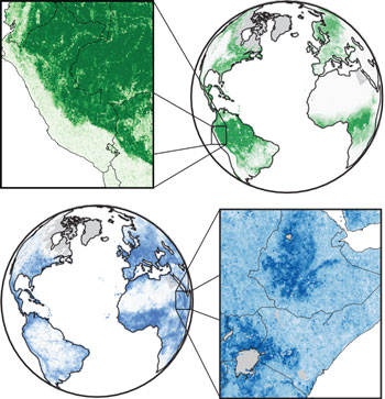 illustrations showing how the MOSAIKS machine learning system developed at UC Berkeley predicts forest cover (above, in green) and population