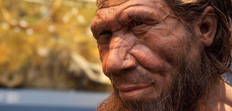 closeup of the face of a heavy-browed, weather-beaten man