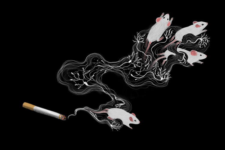 drawing of smoking cigarette and mice intertwined with the smoke