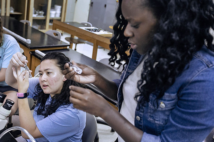 Two unidentified students evaluate samples in a classroom laboratory.