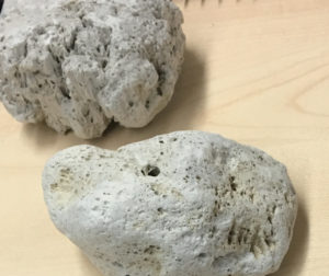 pumice stone samples