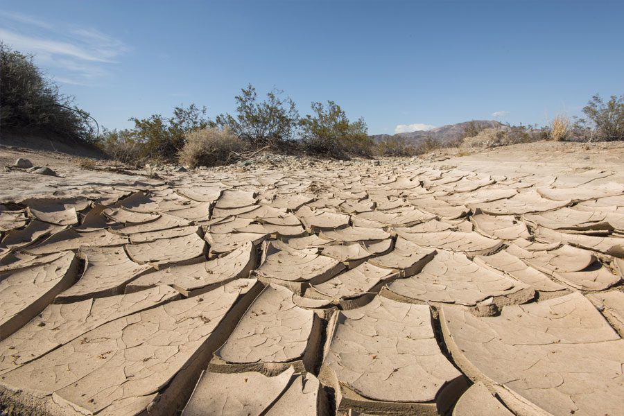 picture of cracked soil in joshua tree