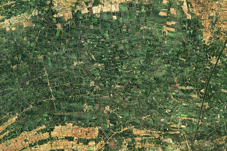 a satellite image shows extensive aqua-culture development in the Indian state of Andhra Pradesh