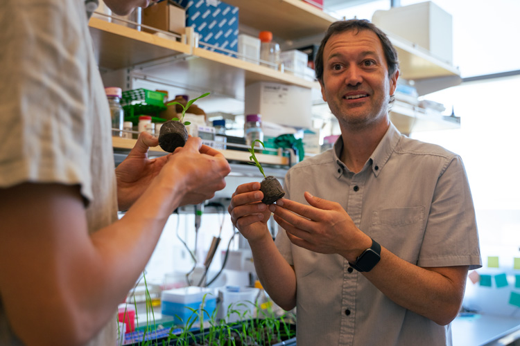 man in lab holding a small plant