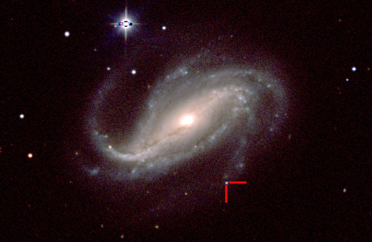 Snapshot of supernova 2016gkg in the galaxy NGC 613