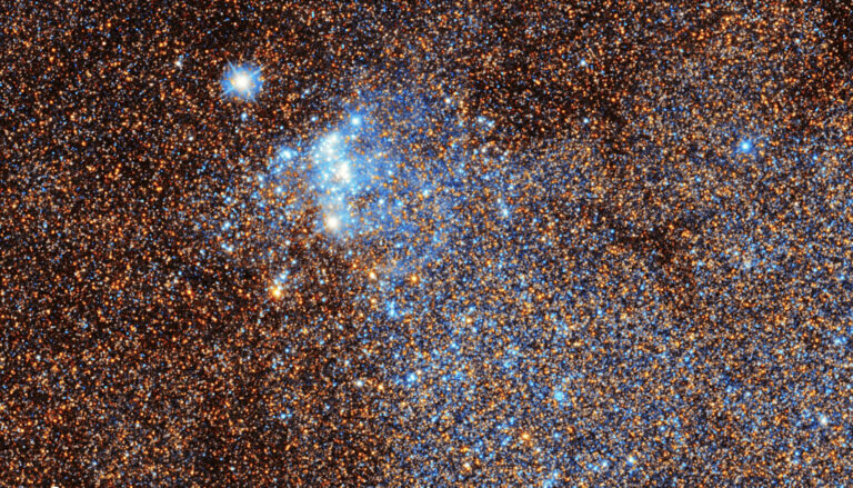 blue stars stand out amid reddish stars