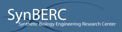 SynBERC Logo