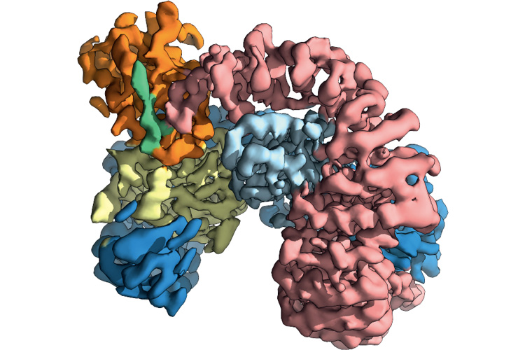 Graphic of 3 proteins