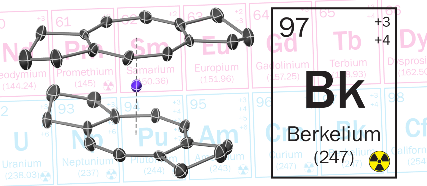 The X-ray structure of berkelocene shows a Bk4+ ion sandwiched between two substituted cyclooctatetraene ligands