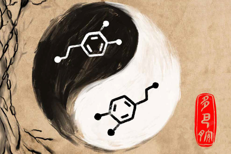 the yin and yang of dopamine