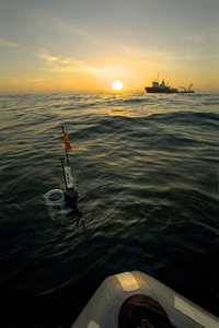 A red flag and a metal object stick out of the water at dawn.