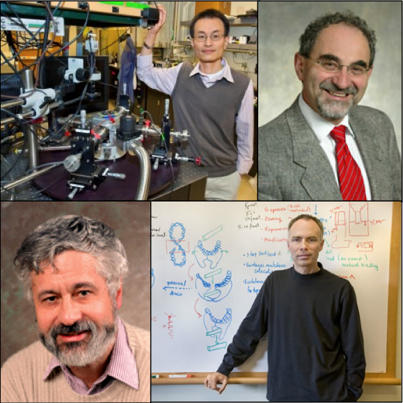 Four separate pictures of the researchers in their labs.