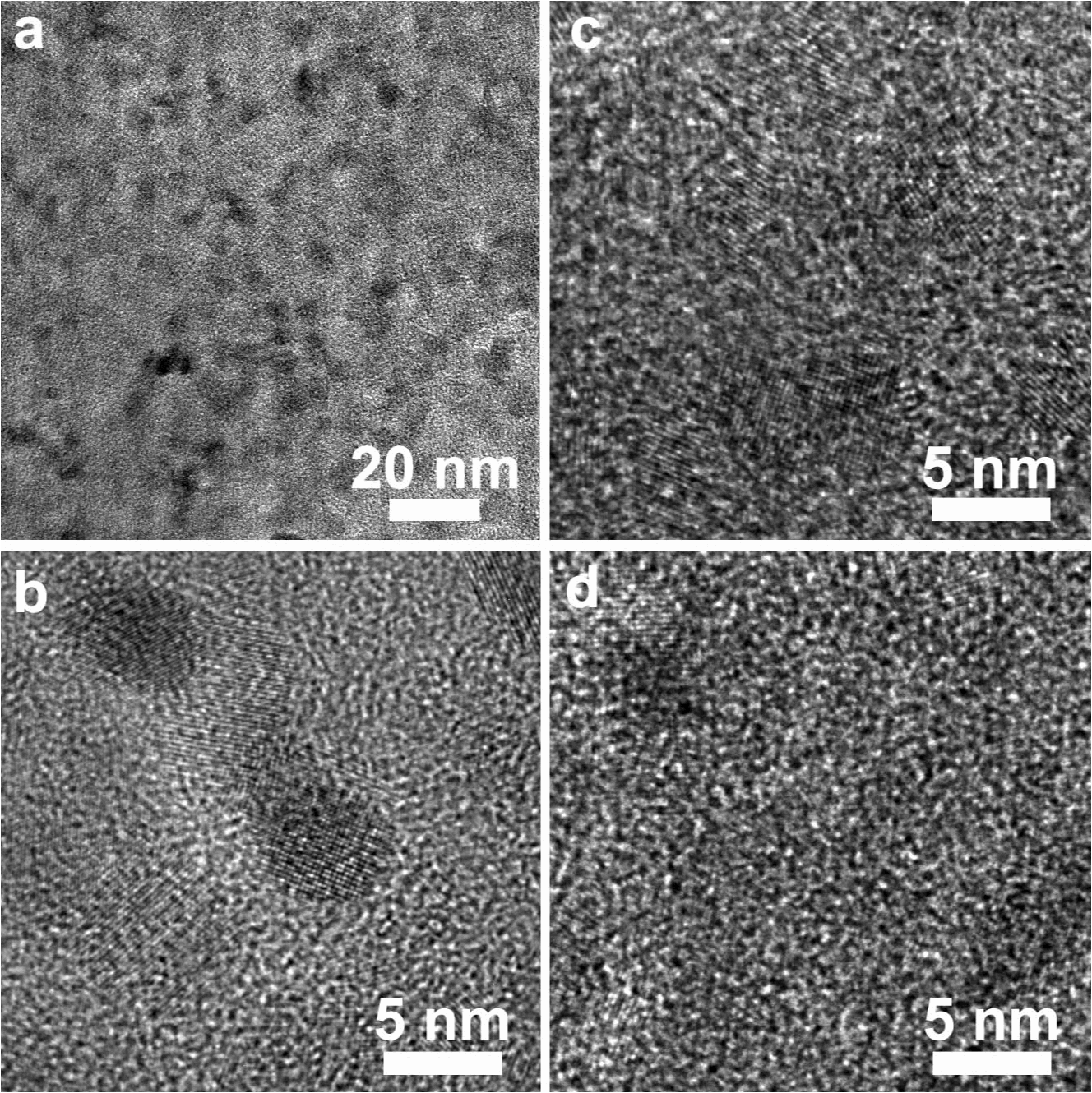 Four micrographs, one at 20 nanometers and three at 5 nanometers.