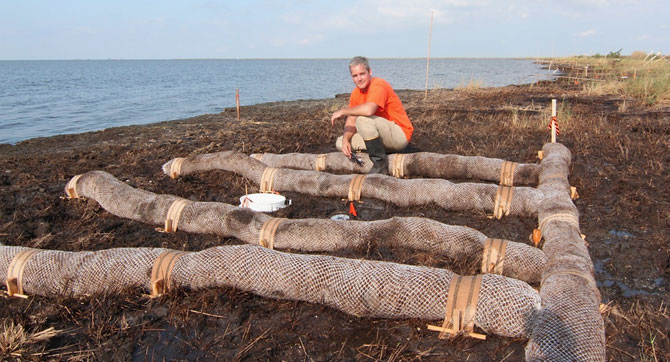 A man in an orange shirt sits in a grid of tube-like bags on a beach.