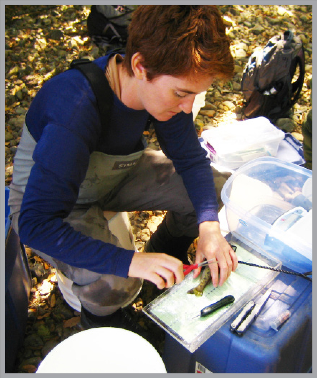 Stephanie Carlson doing field research