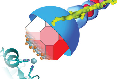 An inactivated protein