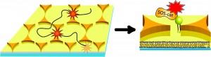 A rendering in yellow of two proteins.