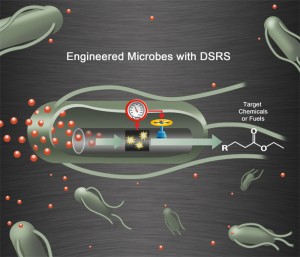 illustration of engineered microbes.