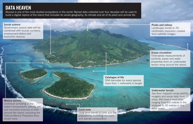Moorea is one of the most studied ecosystems in the world.