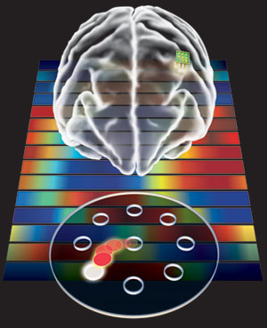 A brain responding to different movements with different colors.