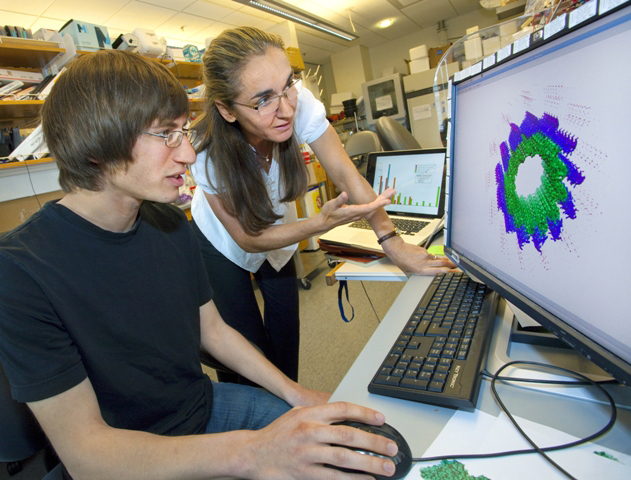 two researchers look at a screen showing a model of a circular green object.