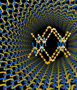 COF-505 is the first 3D covalent organic framework 